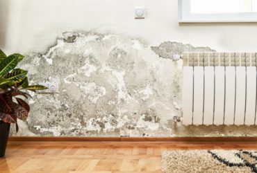 Tại sao tường mặt trong nhà bị bung matit và sơn?