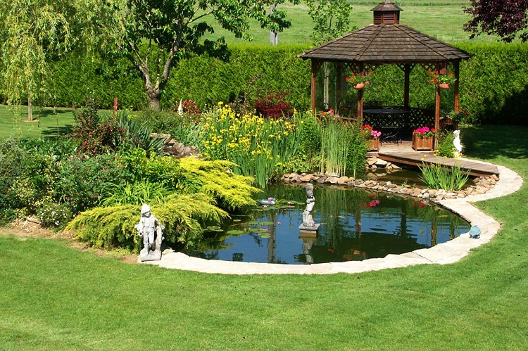 thiết kế sân vườn có hồ nước
