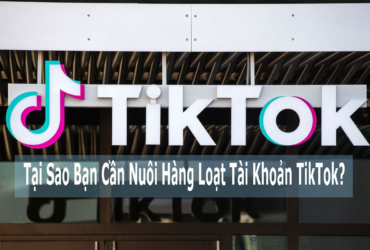 Phần Mềm Nuôi Tiktok Hàng Loạt Phục Vụ Kiếm Tiền Trên TikTok